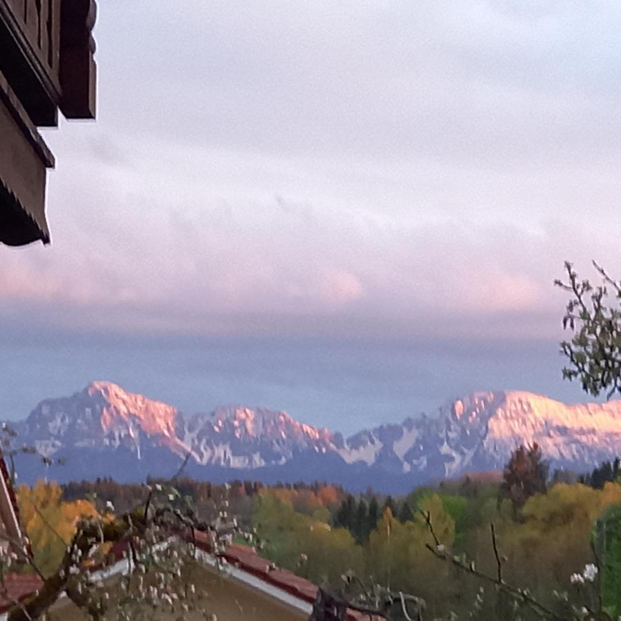 Landhof Ella - Ferienhaus Vor Den Toren Salzburgs Petting Екстер'єр фото