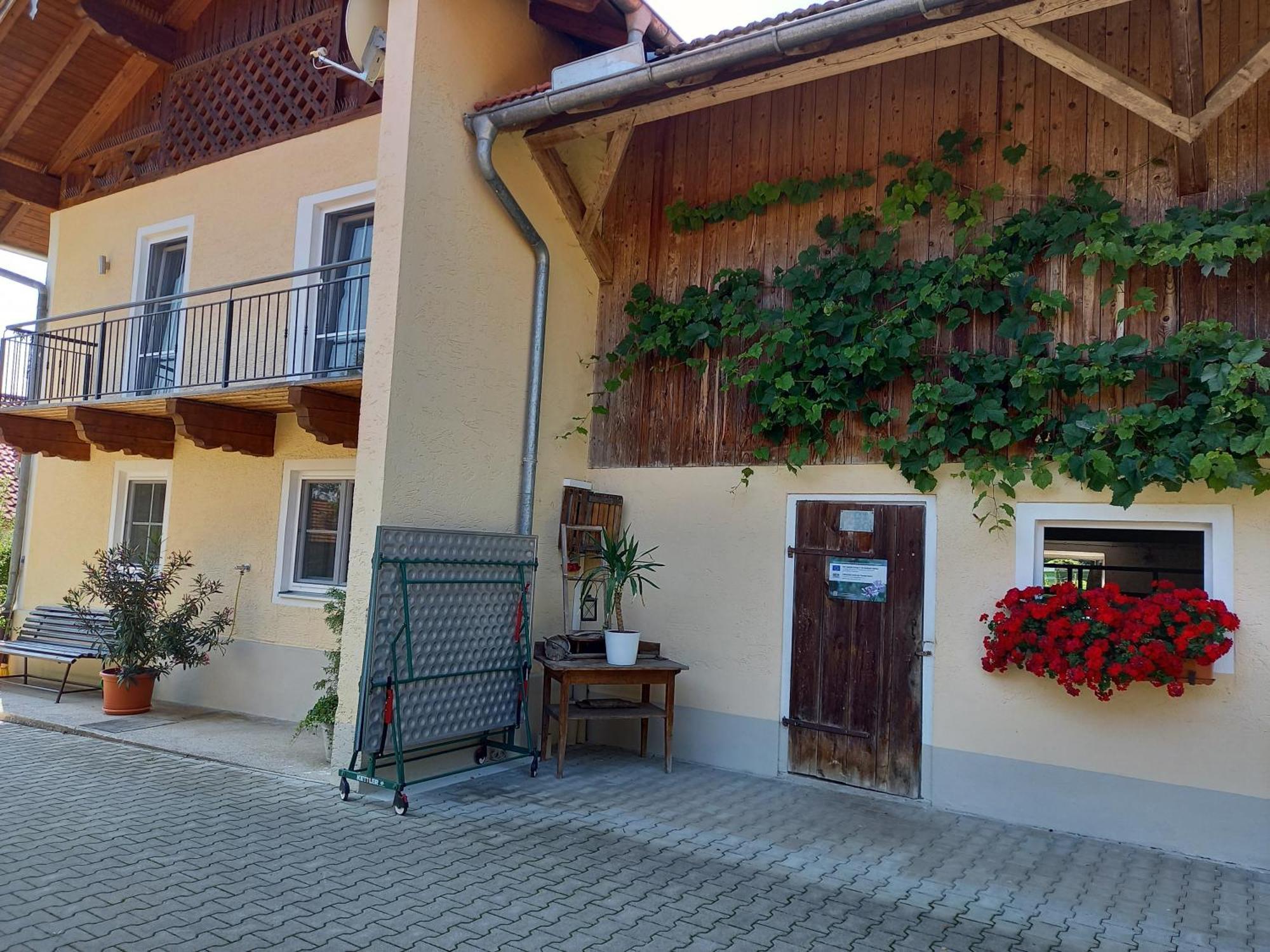 Landhof Ella - Ferienhaus Vor Den Toren Salzburgs Petting Екстер'єр фото