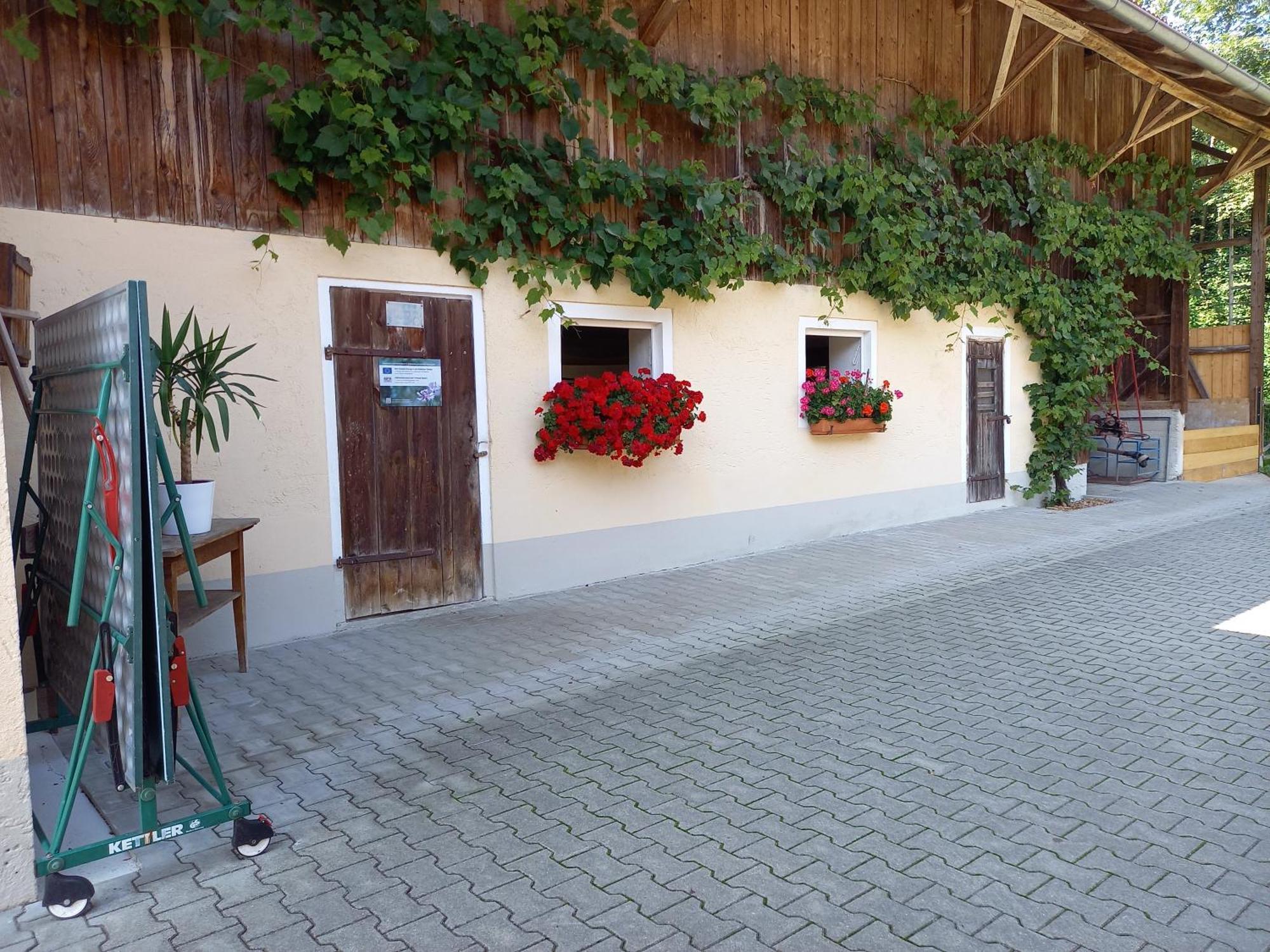 Landhof Ella - Ferienhaus Vor Den Toren Salzburgs Petting Екстер'єр фото