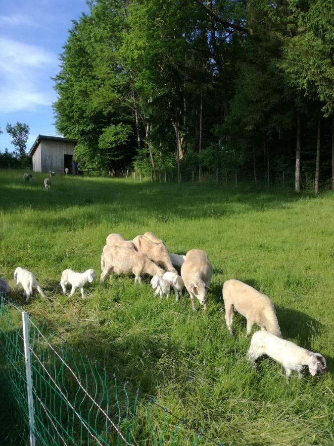 Landhof Ella - Ferienhaus Vor Den Toren Salzburgs Petting Екстер'єр фото